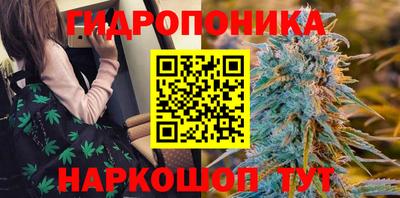 ГАЛЛЮЦИНОГЕННЫЕ ГРИБЫ Вышний Волочёк