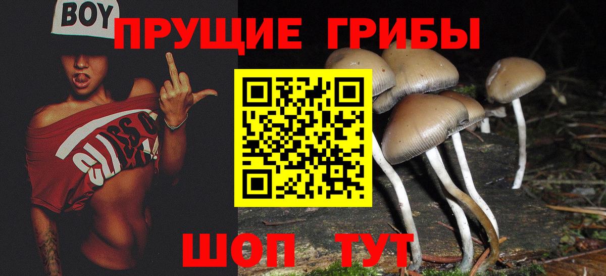 Галлюциногенные грибы прущие грибы Губаха
